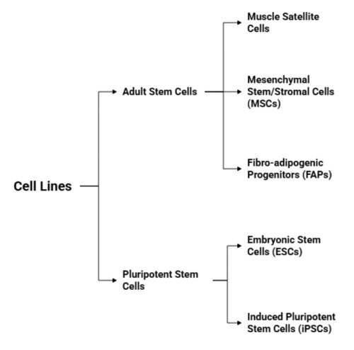 cell1